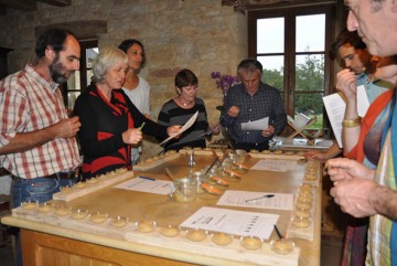 Degustation de vins de Bordeaux