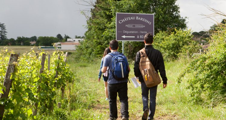 image de randonneurs dans les vignes