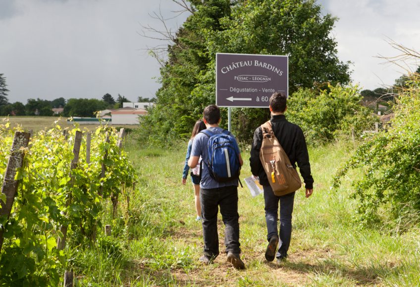 image de randonneurs dans les vignes