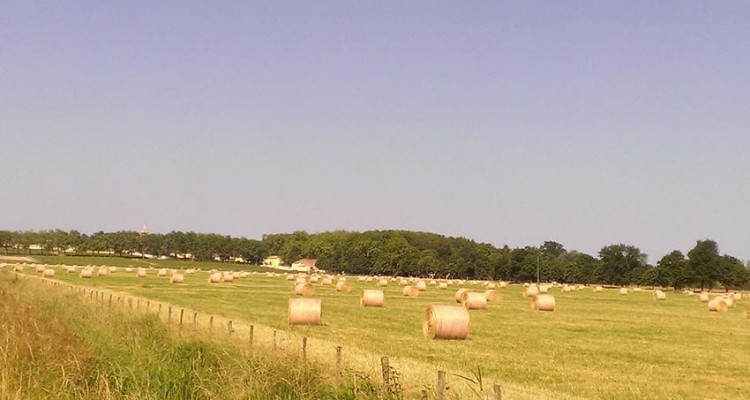 Balade à vélo dans le vignoble bordelais