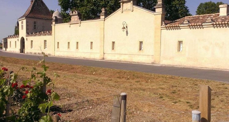 Balade à vélo dans le vignoble bordelais