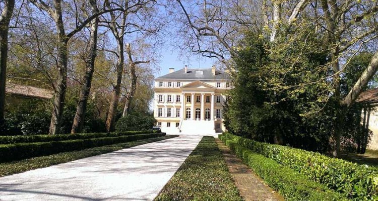 Balade à vélo dans le vignoble bordelais