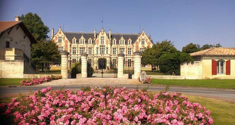 Balade à vélo dans le vignoble bordelais