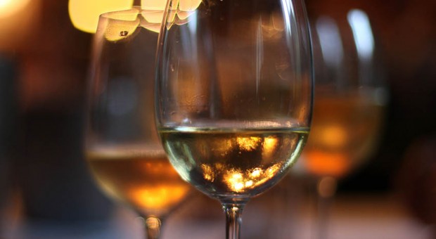 photo de verres de vin blanc
