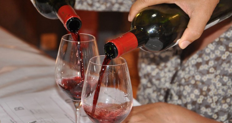 Dégustation de vins de Bordeaux