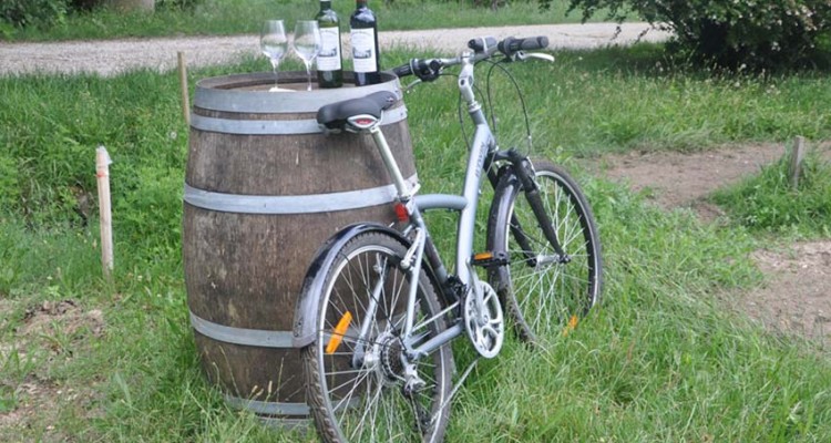 Bike tour in Bordeaux's wineyards, tasting of Bordeaux's wines