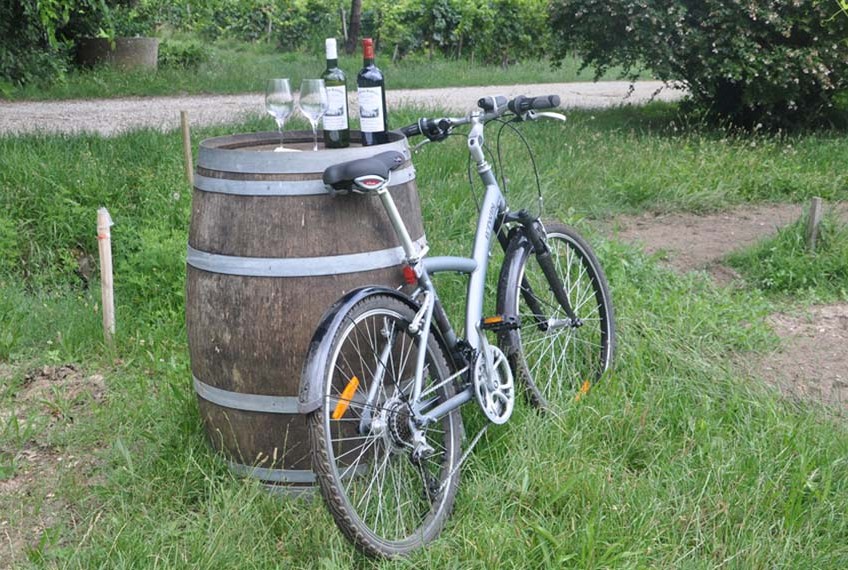 photo d'un vélo dans les vignes