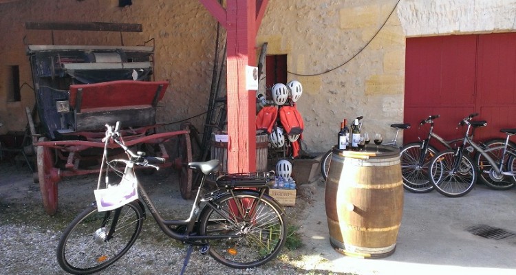 cycling wine and tasting tour. Bordeaux