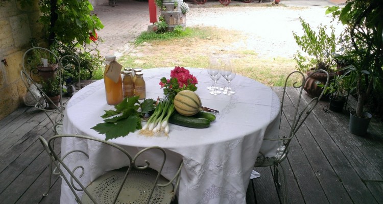 Dégustation vins de Bordeaux. VERJUS