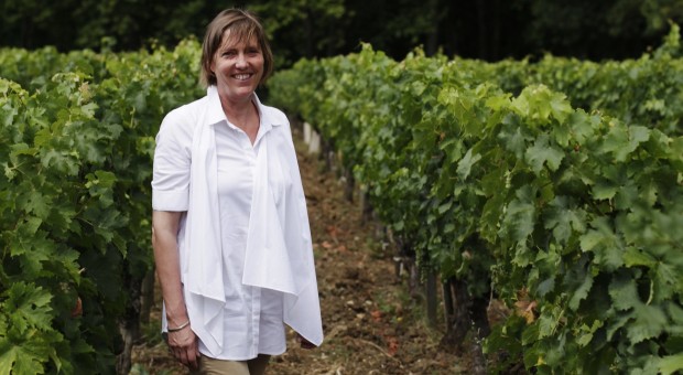 Vendanges. Dégustation de vins de Bordeaux.