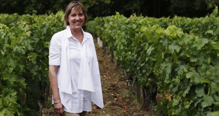 Vendanges. Dégustation de vins de Bordeaux.