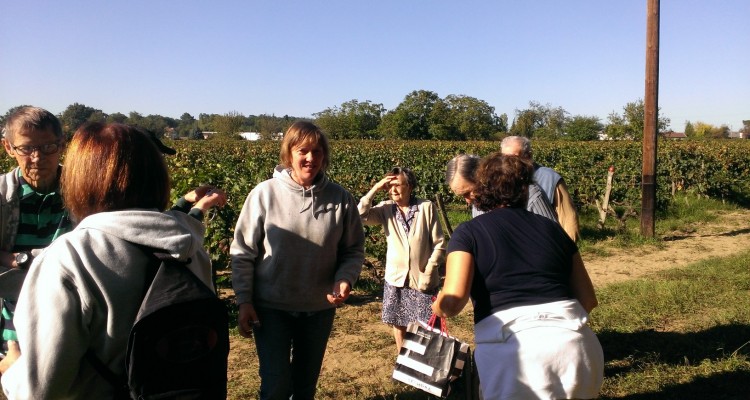 BORDEAUX - Vendanges - Sénoirs & enfants