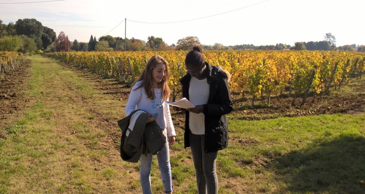 VISITE de vignobles en famille - BORDEAUX