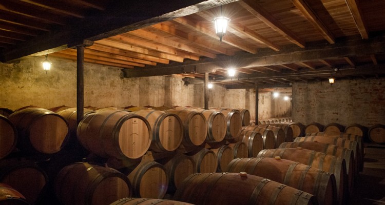 dégustation château bordeaux