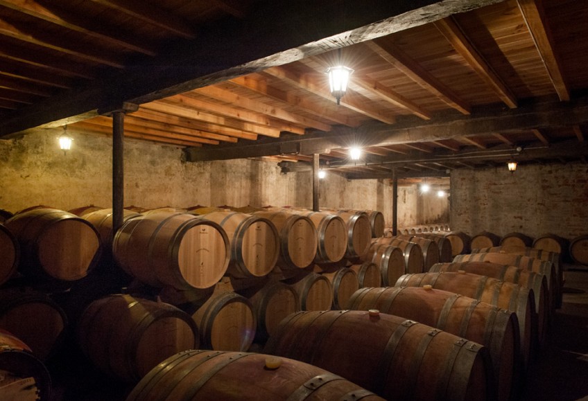 dégustation château bordeaux
