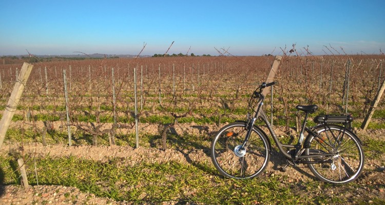 Visite châteaux à vélo