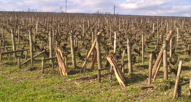 Bordeaux - visites - dégustations