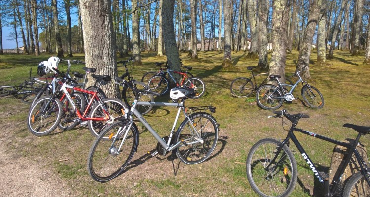 Bordeaux : visite et dégustation à vélo