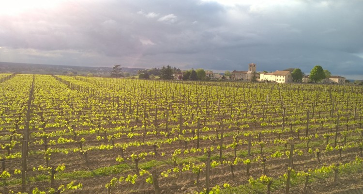 bike wine tour