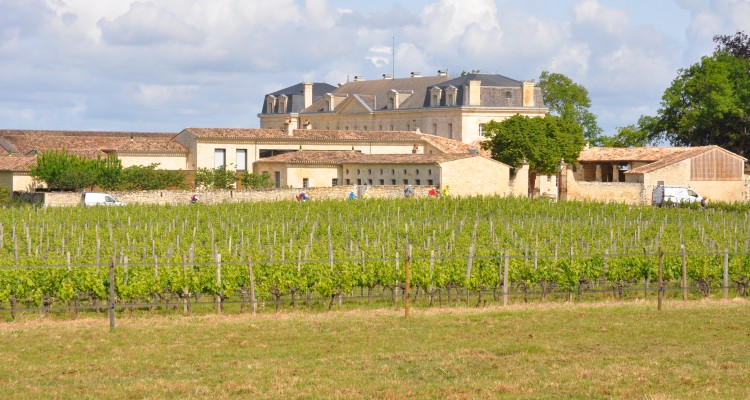 Saint-Emilion à vélo