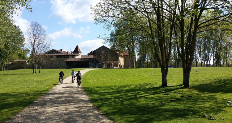 bordeaux bike wine tour