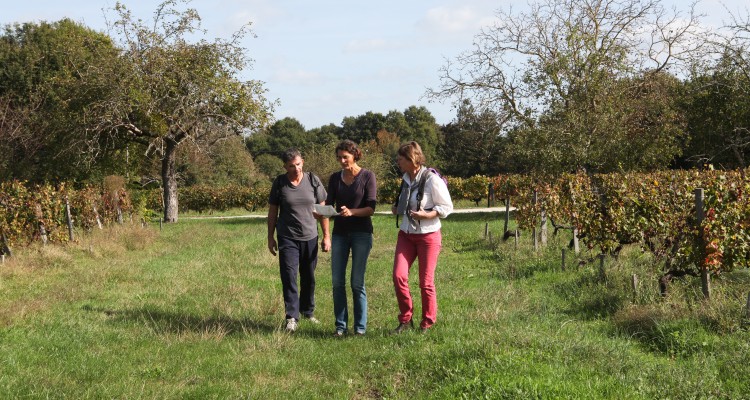 visite, dégustation et sport en Pessac-Léognan