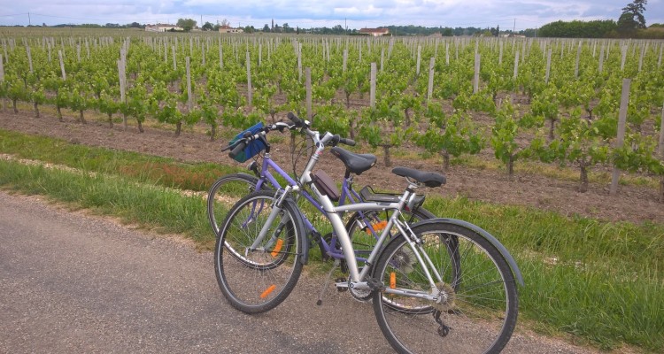 balade à vélo, vins de bordeaux