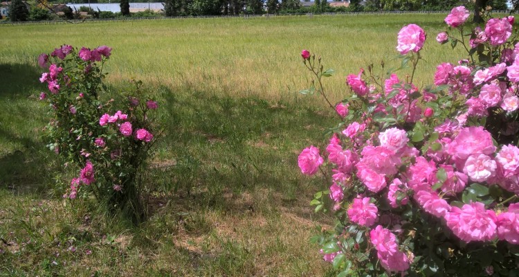 hiking wine tour bordeaux