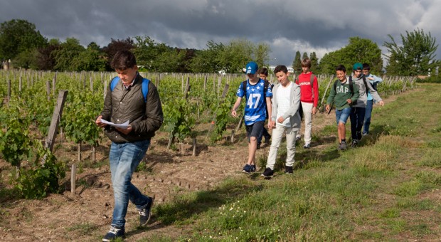 atelier pédagogique vins de bordeaux