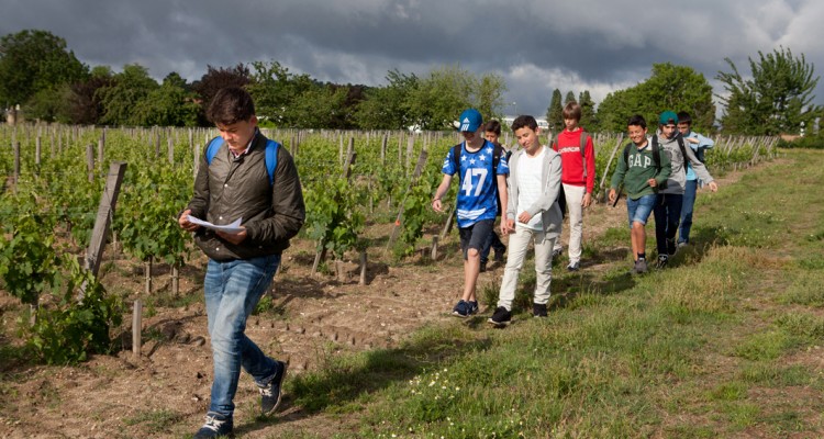 atelier pédagogique vins de bordeaux