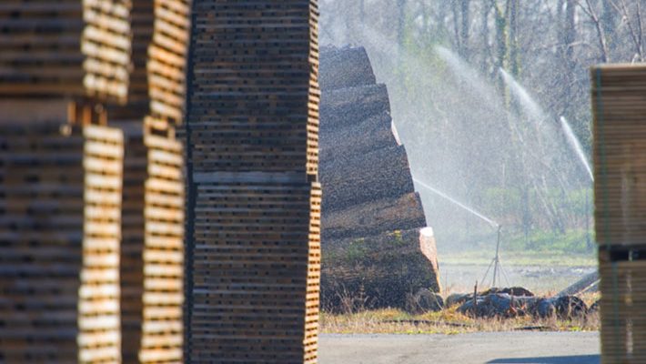 bois-chene-barrique-cours-oenologie-bordeaux