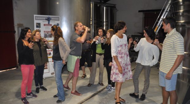 photo d'un groupe qui déguste du vin au Château