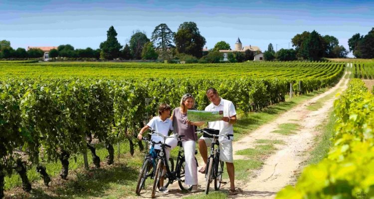 photo de balades à vélo dans les vignes de Pessac-Léognan