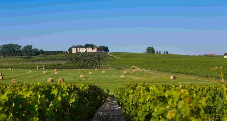 photo d'un chateau viticole