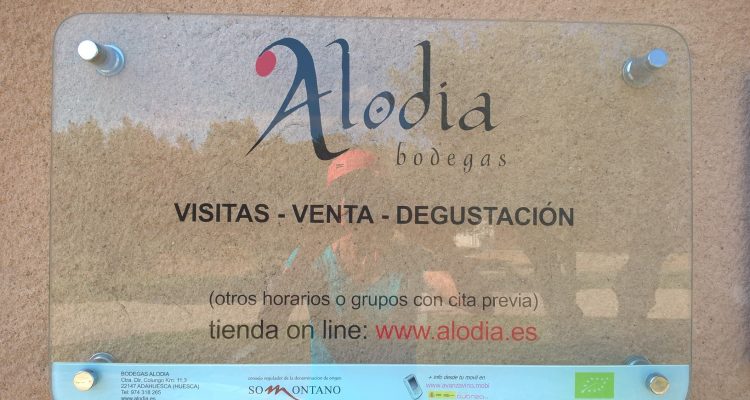 Image du logo de la bodega Alodia