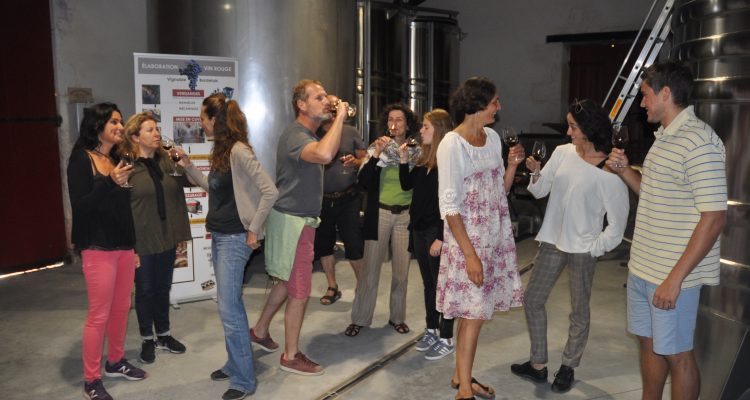 IMAGE OF A GROUP TASTING WINE in bordeaux 's Chateau