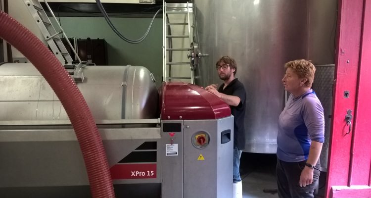 Photo de l'oenologue devant le pressoir pendant les vendanges