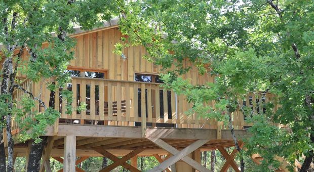 image de cabane dans les arbres