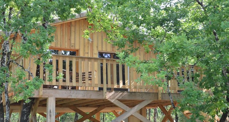 image de cabane dans les arbres