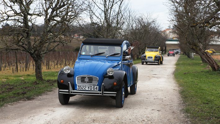 2cv dans les vignes de pessac-léognan