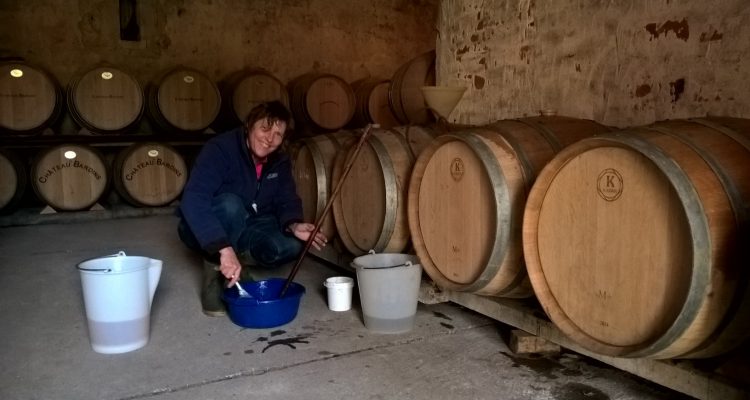 image chai barriques pessac-leognan