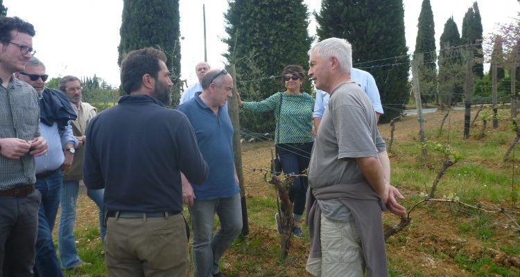 visite de groupe au domaine