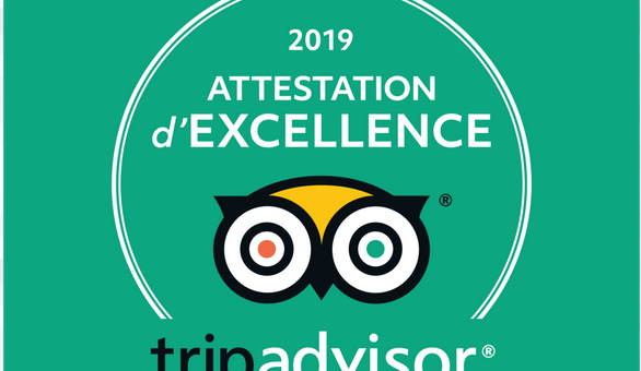 logo tripadvisor