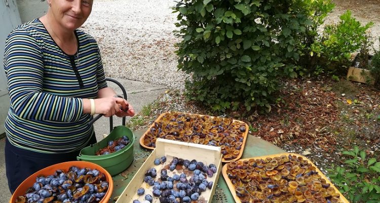 visite chateau bordeaux, dégustation de vins et fruits de saison