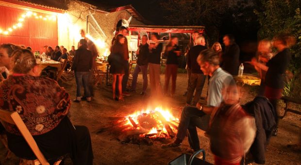 image fête des vendanges