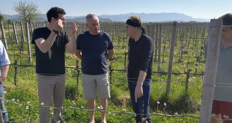 image de visite des vignes