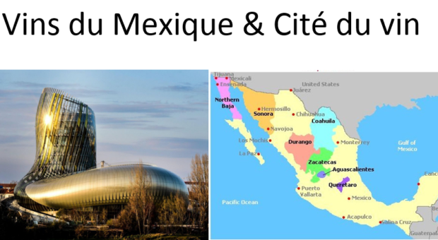 carte des vins du mexique