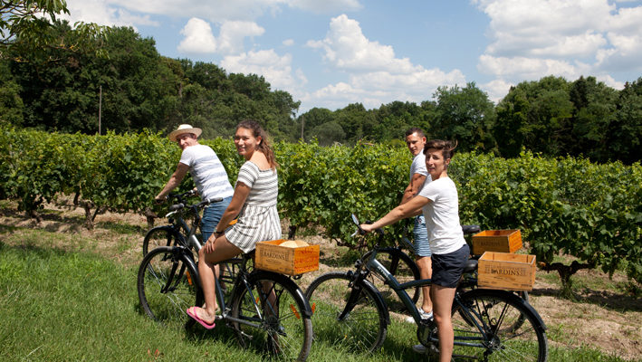 balade à vélo dans les vins de bordeaux