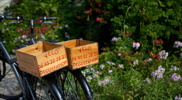 photo vélos et dégustation