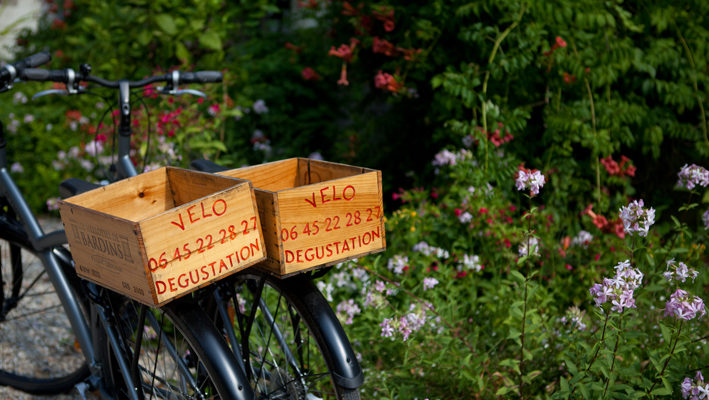 photo vélos et dégustation